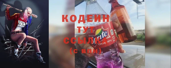 стаф Каменногорск