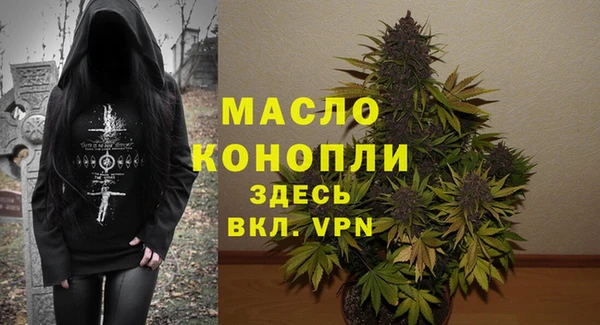 стаф Каменногорск