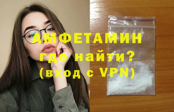 стаф Каменногорск