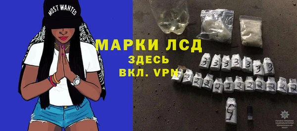 стаф Каменногорск